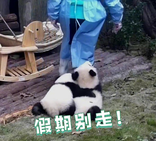 返程高峰不怕堵，至上音樂旗下車載音響讓你暢享音樂盛宴！