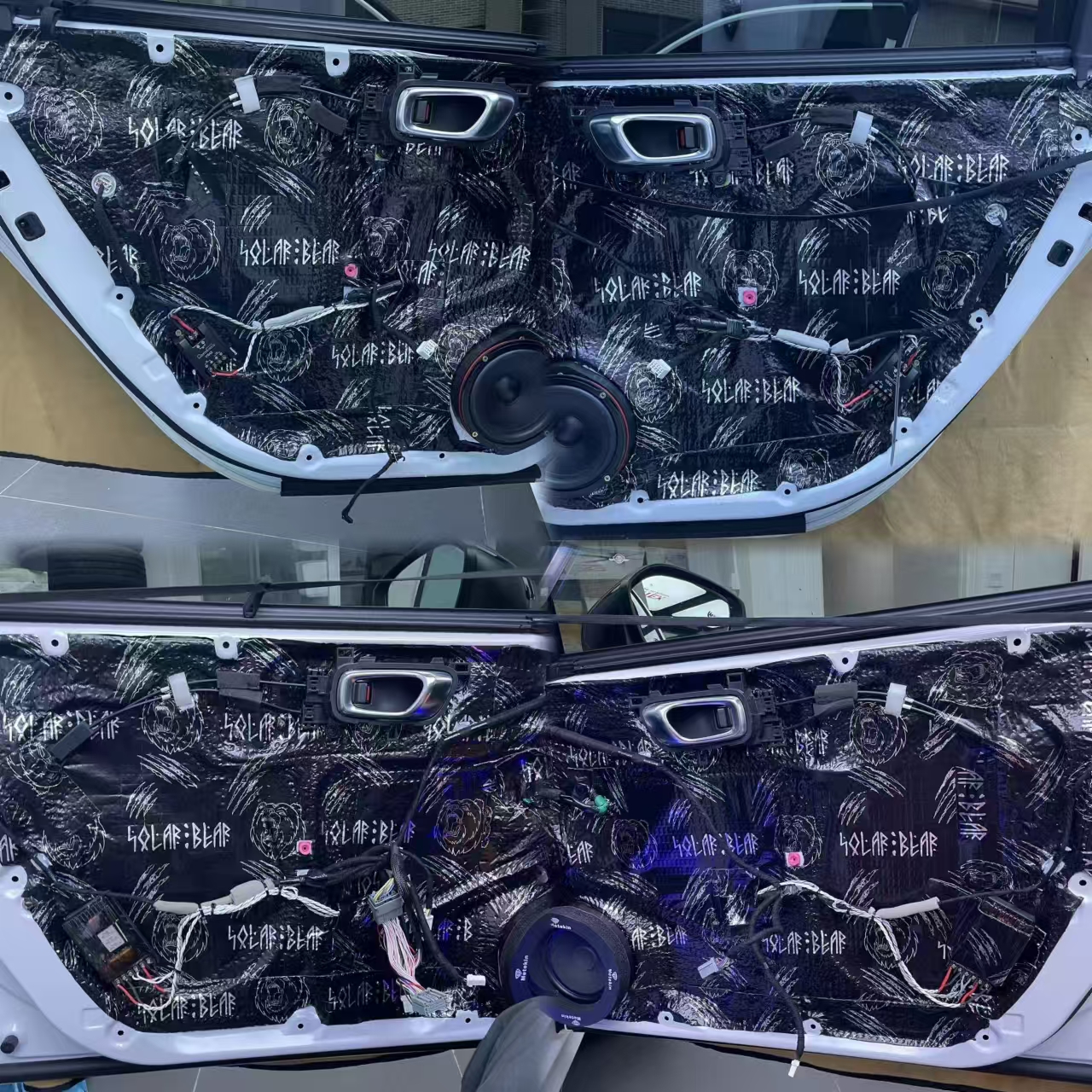 1724808250298315.jpg 四門-北冰熊.jpg